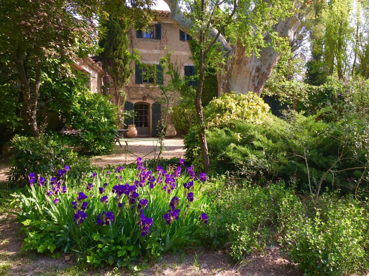 Bed and Breakfast Campagne Baudeloup LʼIsle-sur-la-Sorgue Exterior foto