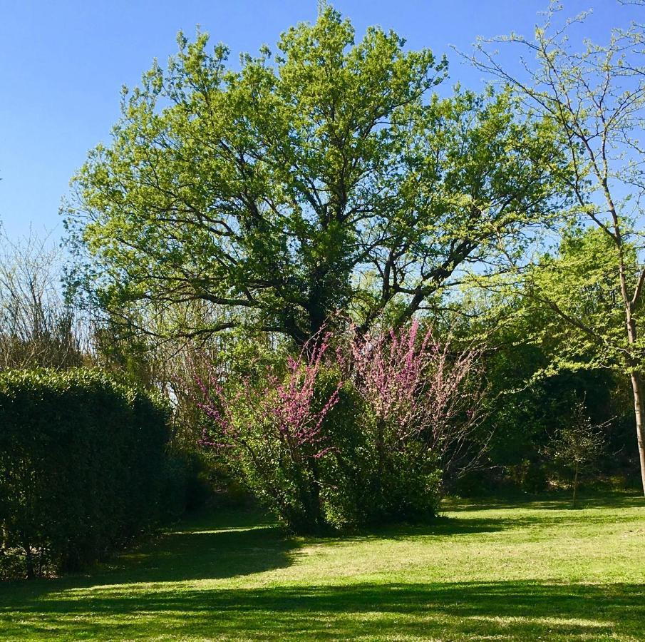 Bed and Breakfast Campagne Baudeloup LʼIsle-sur-la-Sorgue Exterior foto