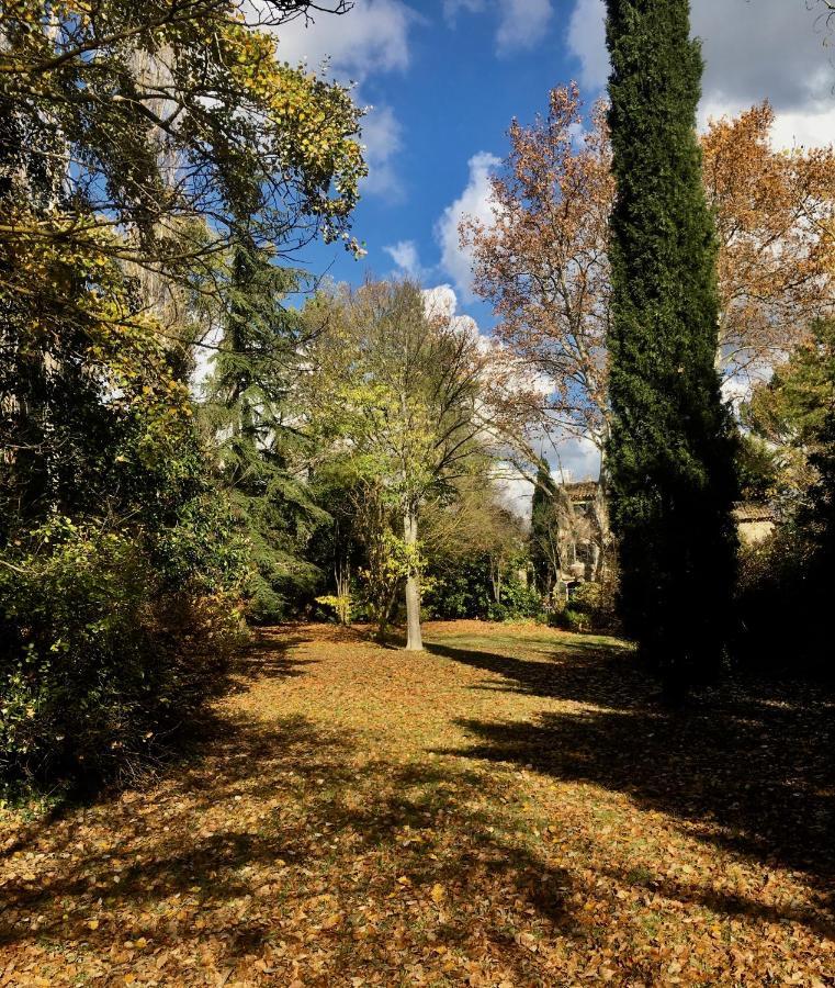 Bed and Breakfast Campagne Baudeloup LʼIsle-sur-la-Sorgue Exterior foto